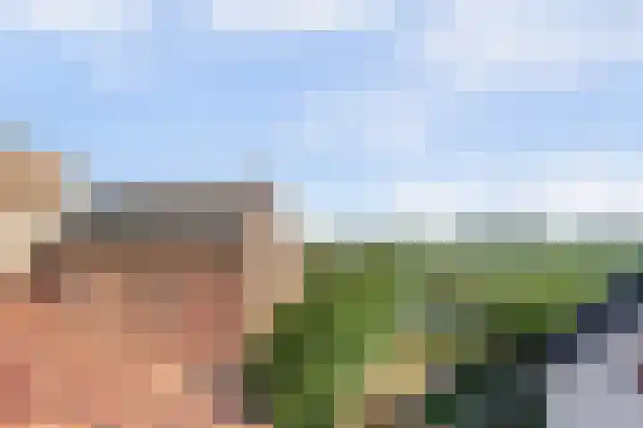 Lingedijk 95 Acquoy thumbnail 4