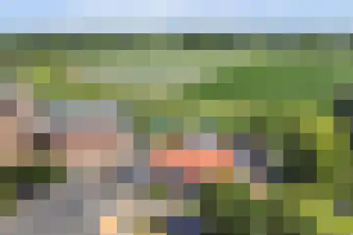 Lingedijk 95 Acquoy thumbnail 46