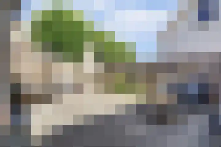 Lingedijk 95 Acquoy thumbnail 5