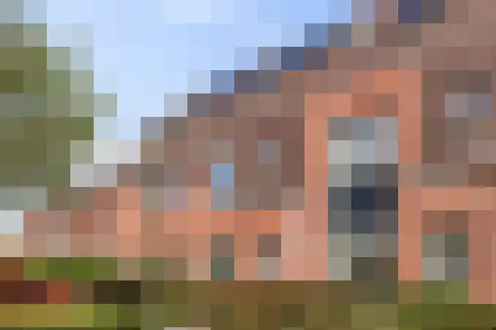 Lingegraaf 7 dans Elst