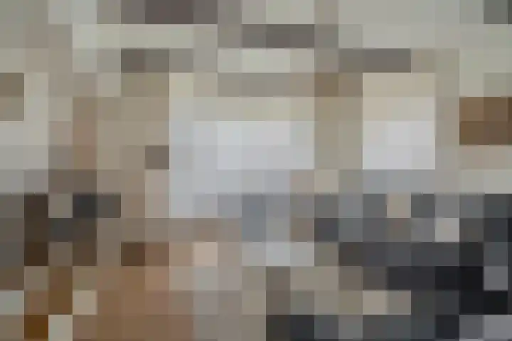 Team foto van Linger OG Makelaars en Taxateurs