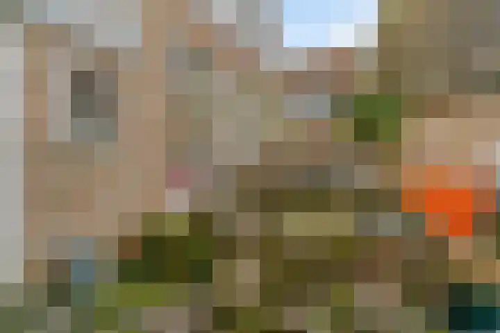 Lingerzijde 2 Edam thumbnail 12