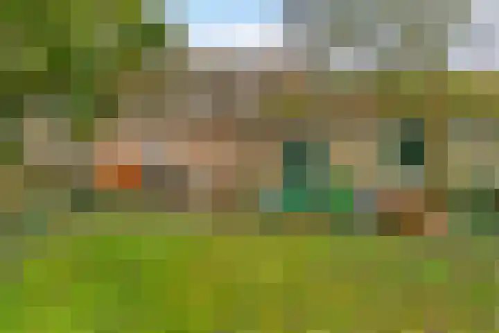 Lingerzijde 2 Edam thumbnail 15