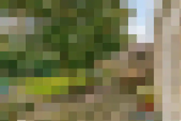 Lingerzijde 2 Edam thumbnail 17