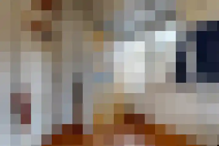 Lingerzijde 2 Edam thumbnail 33