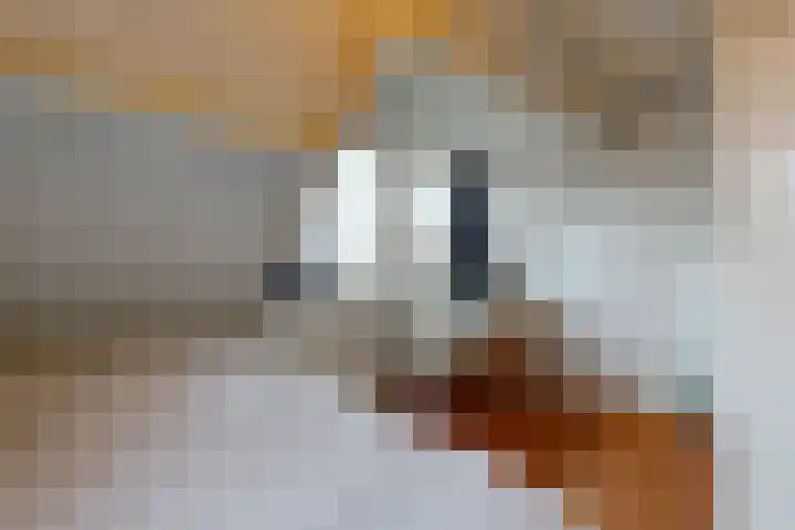 Lingerzijde 2 Edam thumbnail 35