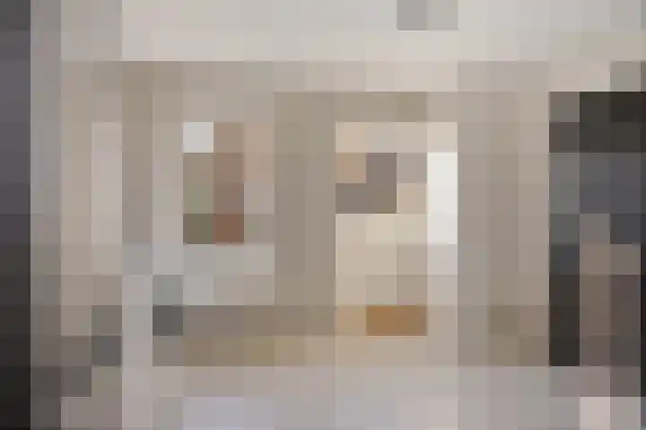 Lingerzijde 57 Edam thumbnail 17