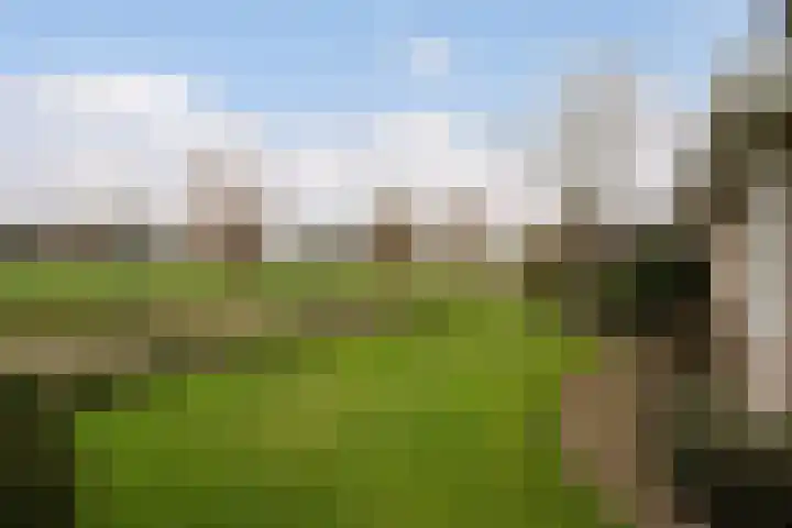 Lingerzijde 57 Edam thumbnail 31