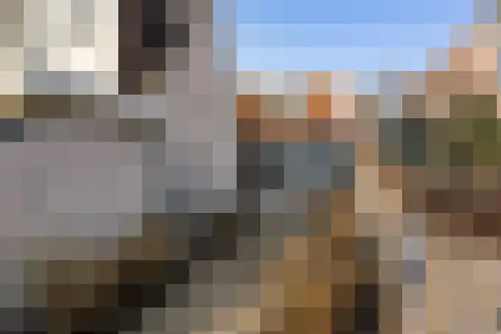 Lingerzijde 57 Edam thumbnail 34