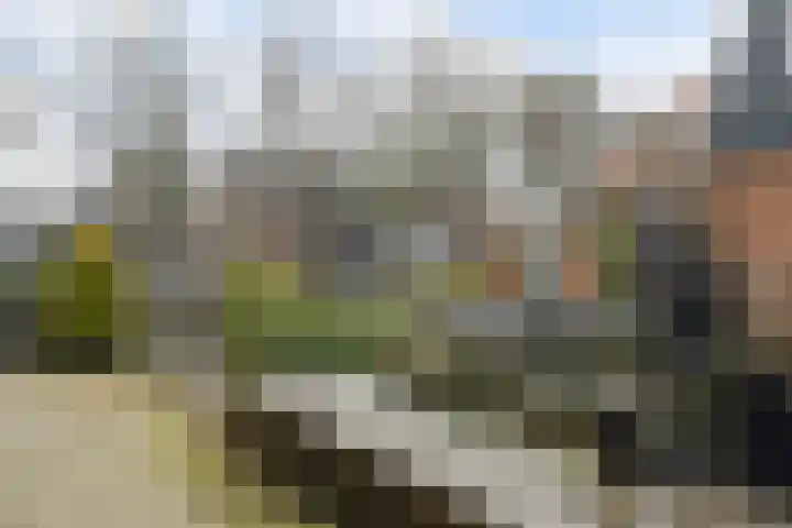 Lingerzijde 57 Edam thumbnail 37