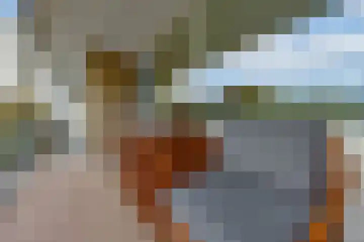 Lingerzijde 57 Edam thumbnail 7