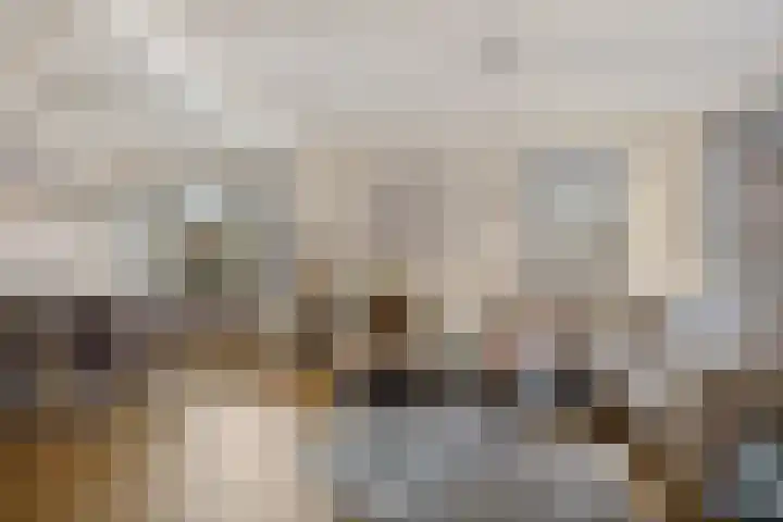 Lingerzijde 57 Edam thumbnail 8