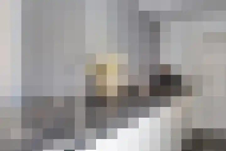 Lingestraat 1 Eindhoven thumbnail 16