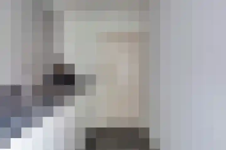 Lingestraat 1 Eindhoven thumbnail 18