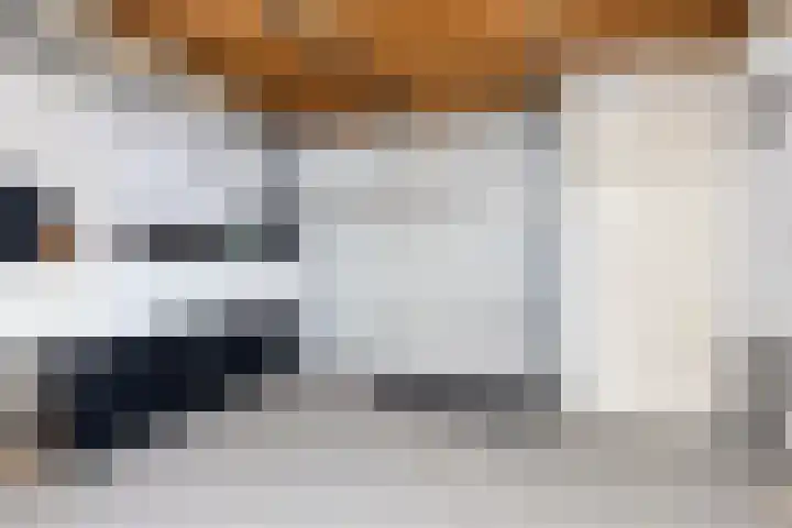 Lingestraat 1 Eindhoven thumbnail 20