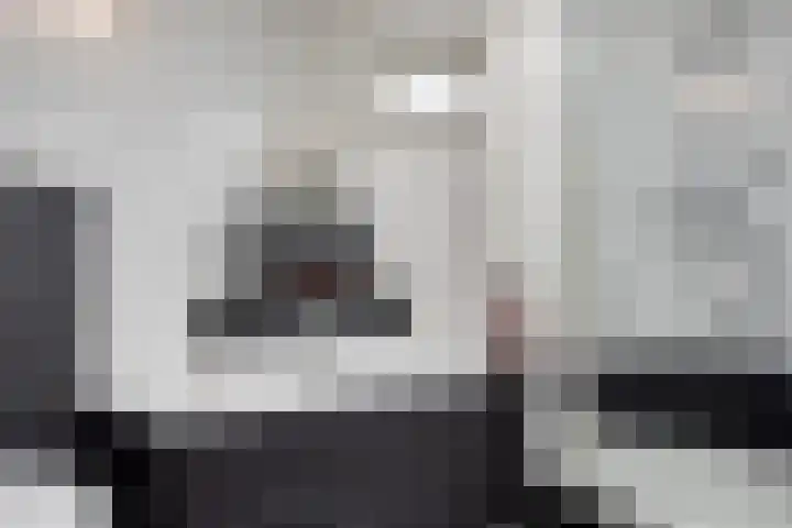 Lingestraat 1 Eindhoven thumbnail 24