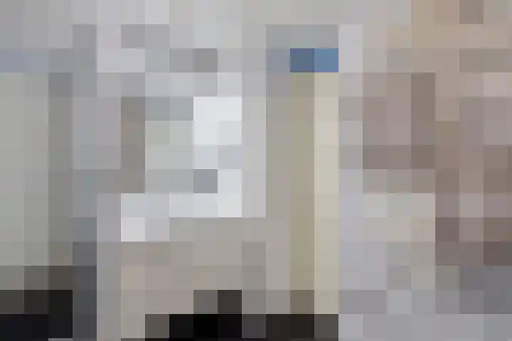 Lingestraat 1 Eindhoven thumbnail 25
