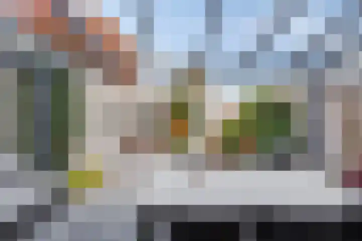 Lingestraat 1 Eindhoven thumbnail 29