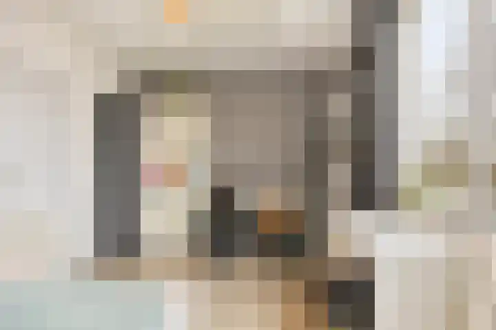 Lingestraat 14 Veghel thumbnail 20