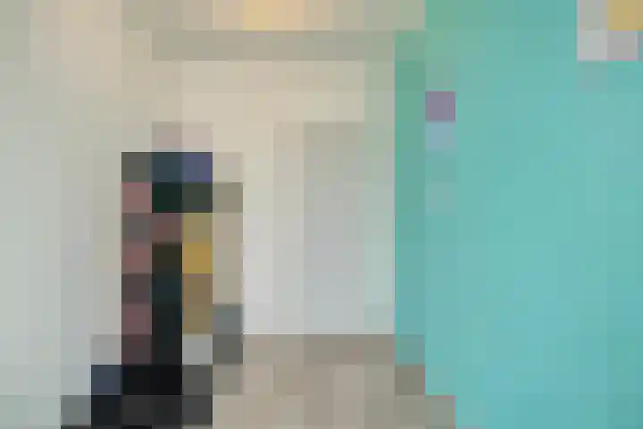 Lingestraat 14 Veghel thumbnail 22