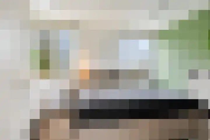Lingestraat 14 Veghel thumbnail 28