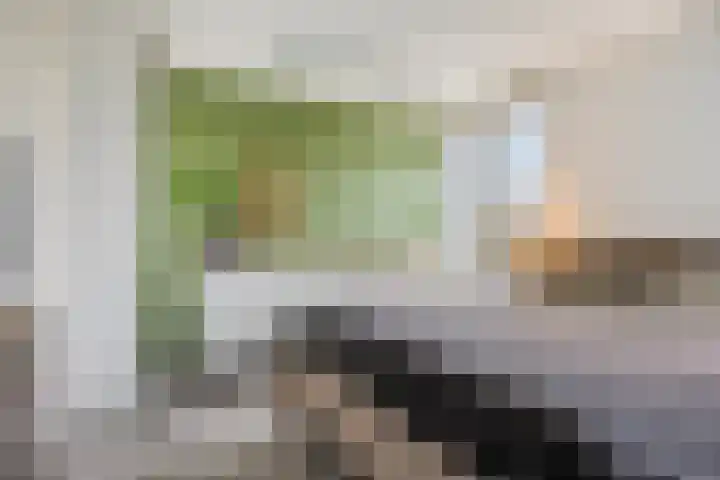 Lingestraat 14 Veghel thumbnail 30