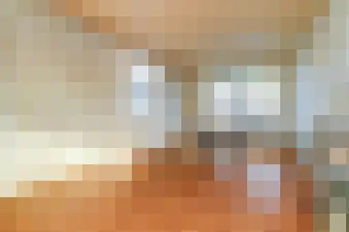 Lingestraat 23 Dongen thumbnail 11