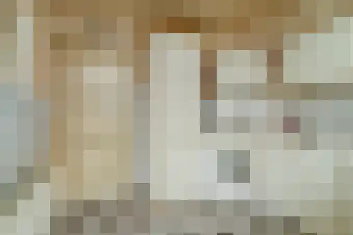 Lingestraat 23 Dongen thumbnail 17
