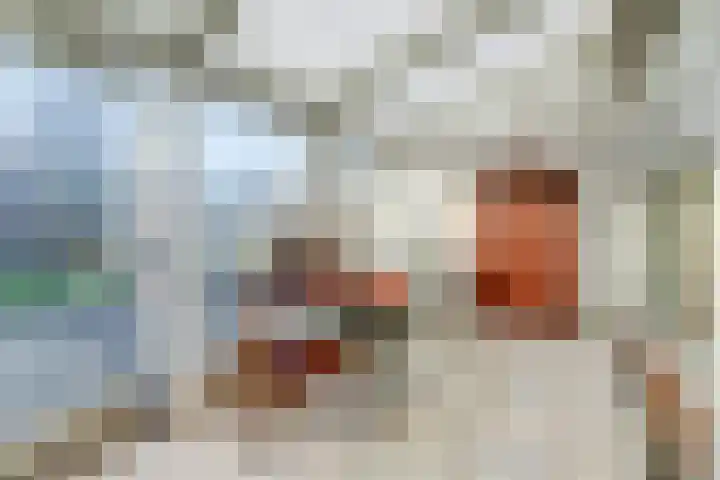 Lingestraat 23 Dongen thumbnail 18