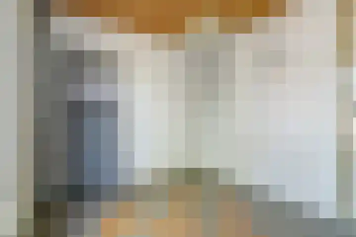 Lingestraat 23 Dongen thumbnail 25