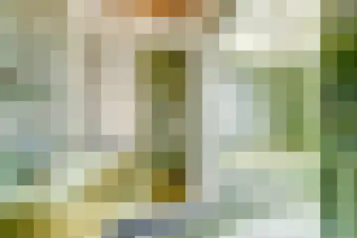 Lingestraat 23 Dongen thumbnail 27