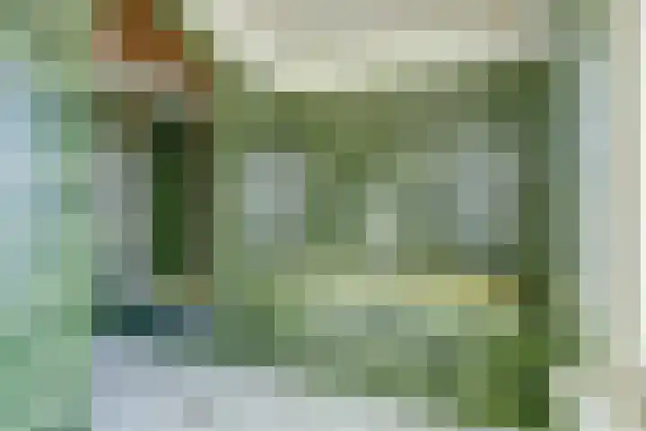 Lingestraat 23 Dongen thumbnail 28