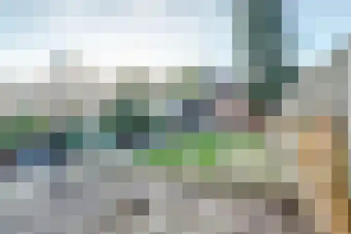 Lingestraat 23 Dongen thumbnail 29