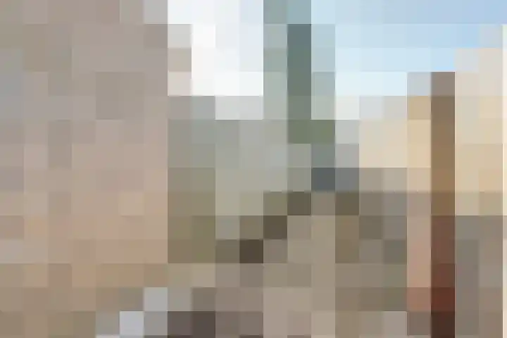 Lingestraat 23 Dongen thumbnail 34