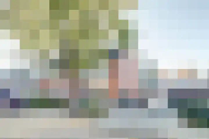 Lingestraat 23 Dongen thumbnail 5