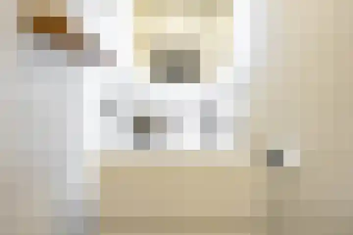 Lingestraat 26 Groningen thumbnail 29