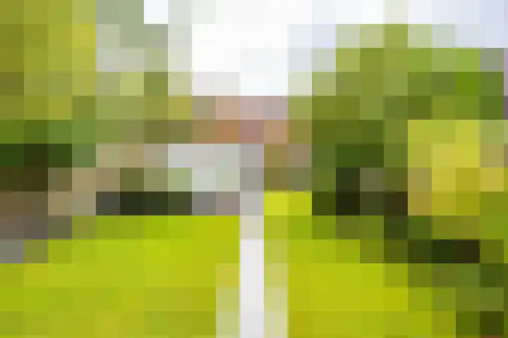 Lingestraat 26 Groningen thumbnail 35