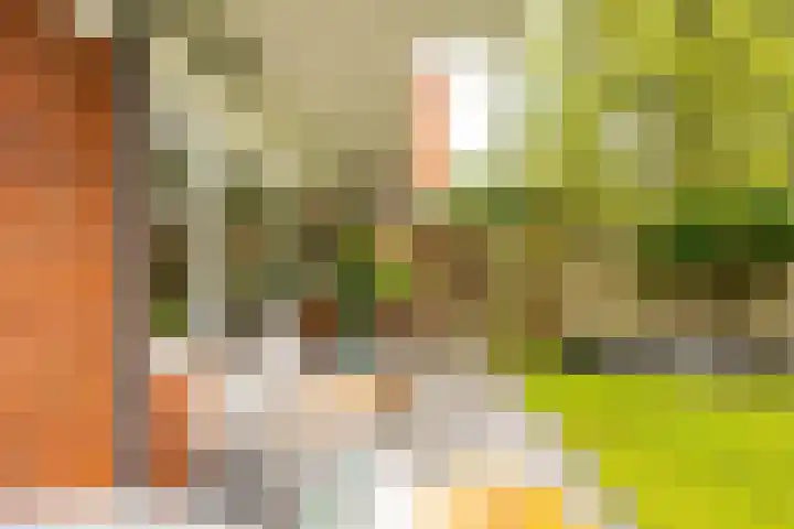 Lingestraat 26 Groningen thumbnail 36