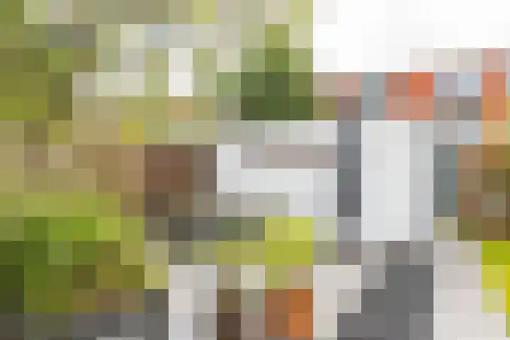 Lingestraat 26 Groningen thumbnail 38