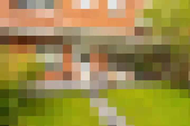 Lingestraat 26 Groningen thumbnail 42