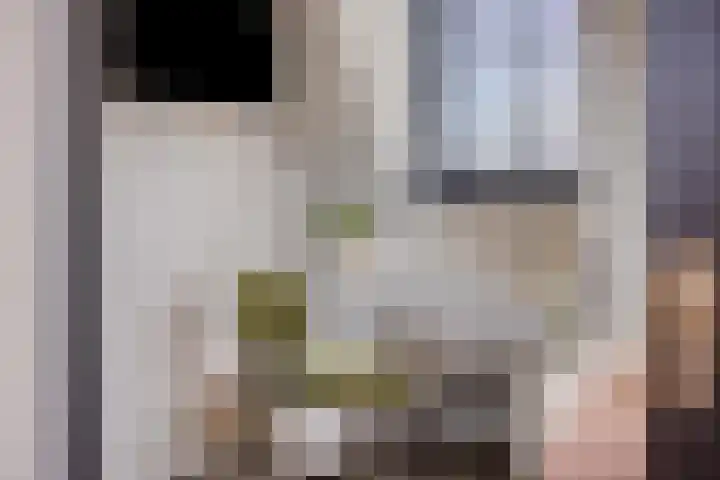 Lingestraat 4 Veghel thumbnail 23