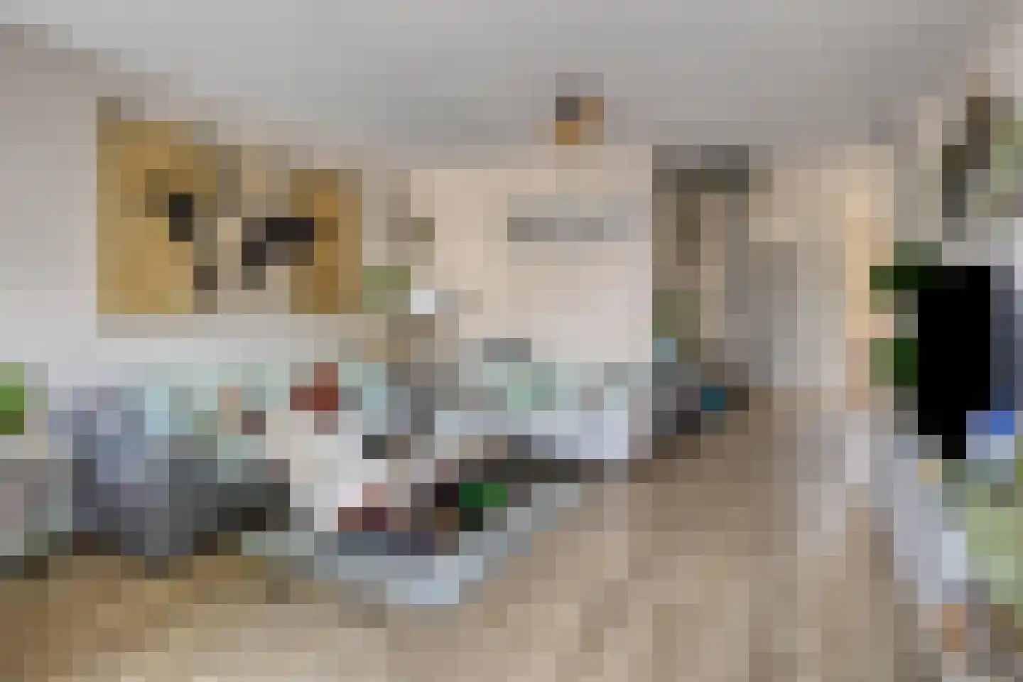 Lingestraat 4 Veghel thumbnail 6