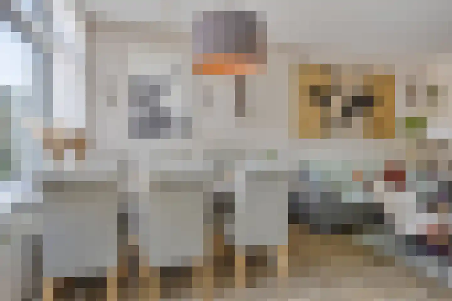 Lingestraat 4 Veghel thumbnail 7