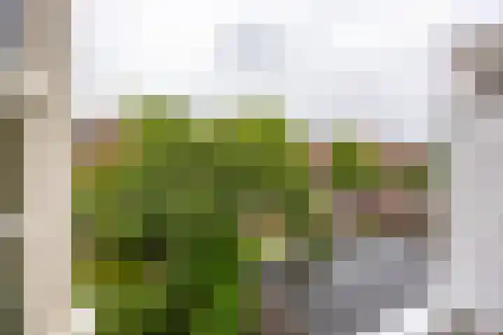 Lingestraat 8 b Groningen thumbnail 18