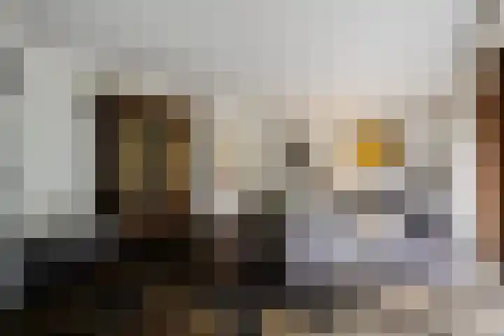 Linieweg 8 Den Helder thumbnail 10
