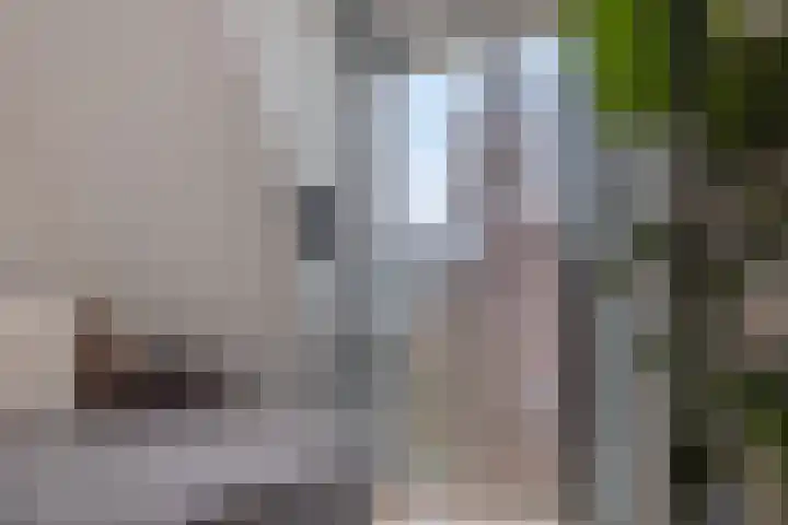 Linkensweg 2 K Oss thumbnail 17