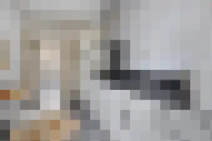 Linkensweg 34 Oss thumbnail 16
