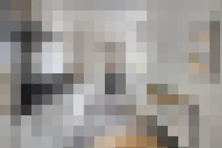 Linkensweg 34 Oss thumbnail 17