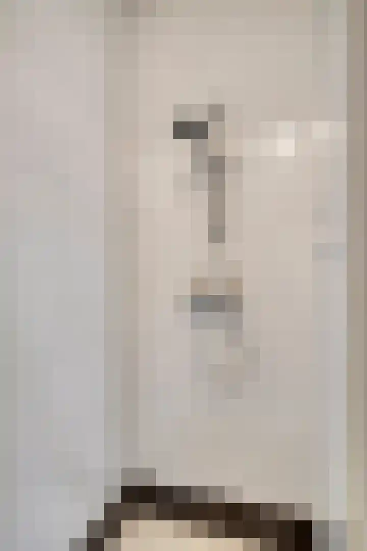 Linkensweg 34 Oss thumbnail 20