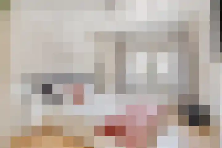 Linkensweg 34 Oss thumbnail 30
